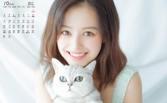 女人下边被舔全过视频软件